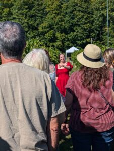 Walk between rows of beautiful vines on our Stony Creek vineyard tour.