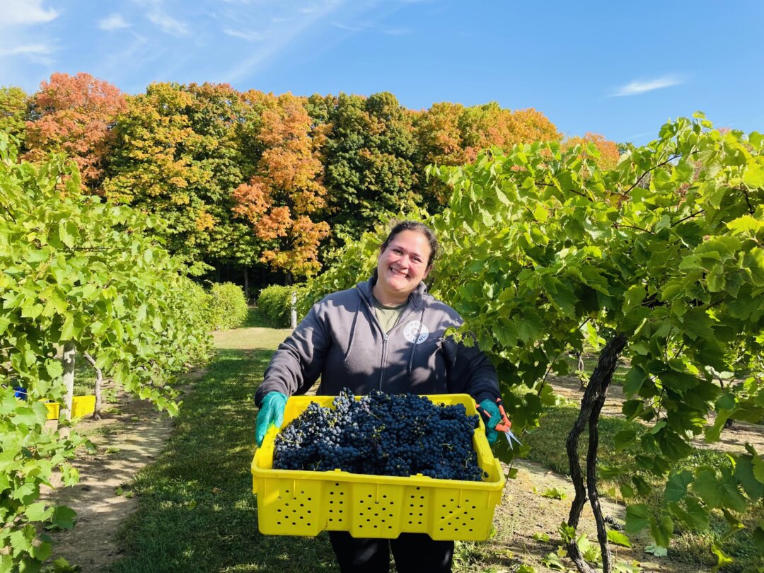 Door County Vineyard Tour